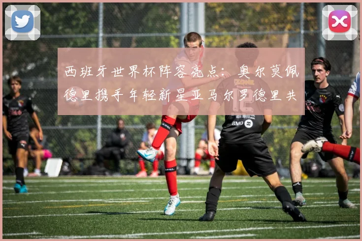 西班牙世界杯阵容亮点：奥尔莫佩德里携手年轻新星亚马尔罗德里共赴荣耀之战